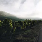 게스트하우스 Weingut Gaestehaus Weigand 4*