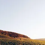 Weingut Gaestehaus Weigand 이포펜