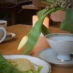 Weingut Gaestehaus Weigand Gasthuis Iphofen