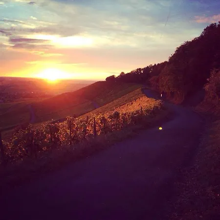 Weingut Gaestehaus Weigand