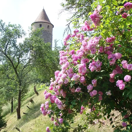 Weingut Gaestehaus Weigand Гостевой дом Ипхофен