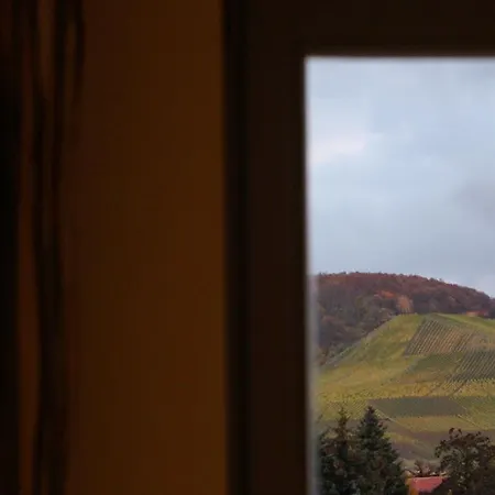 Гостевой дом Weingut Gaestehaus Weigand Ипхофен