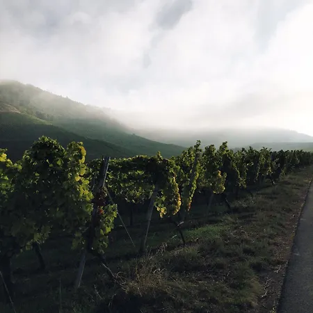 Гостевой дом Weingut Gaestehaus Weigand 4*