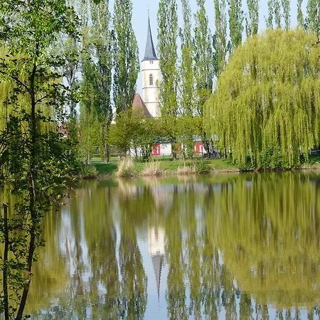 Weingut Gastehaus Weigand بيت ضيافة إبهوفين