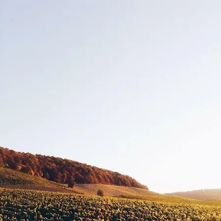 Weingut Gaestehaus Weigand Iphofen