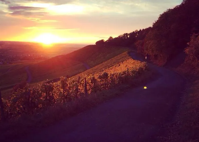 Weingut Gaestehaus Weigand