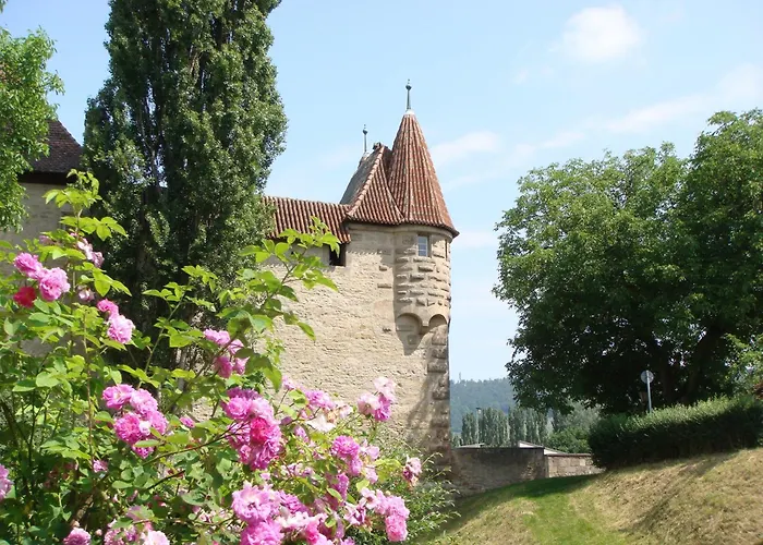בית הארחה Weingut Gaestehaus Weigand איפהופן