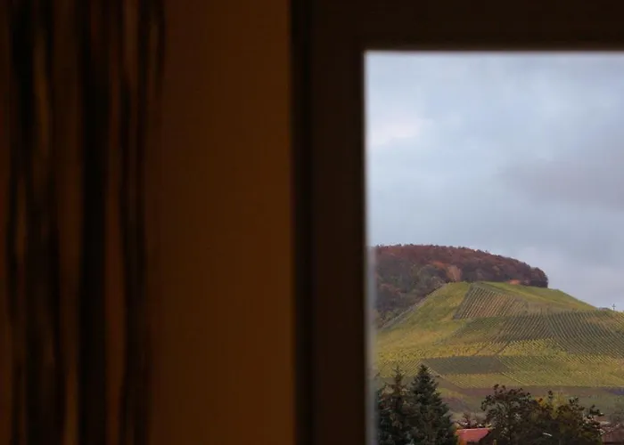 Affittacamere Weingut Gaestehaus Weigand Iphofen