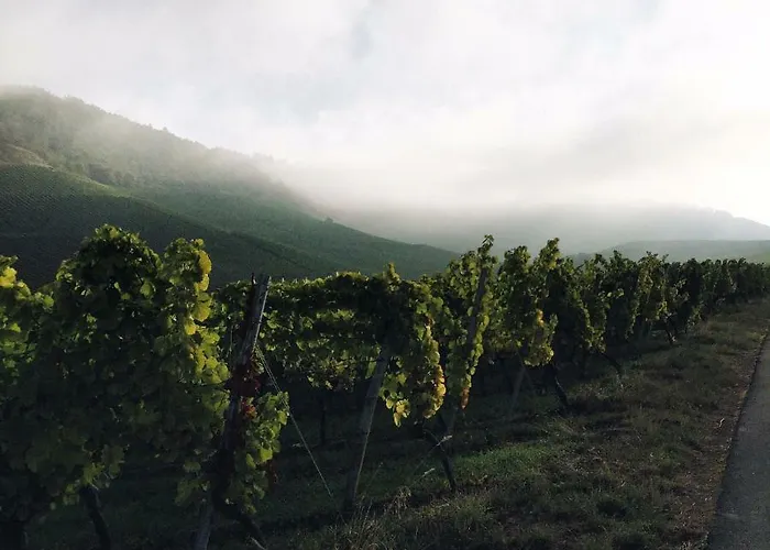 Weingut Weigand Gasthof 4*